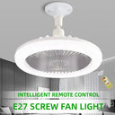 Ceiling Fan Combo - Remote Dimmable Lighting.