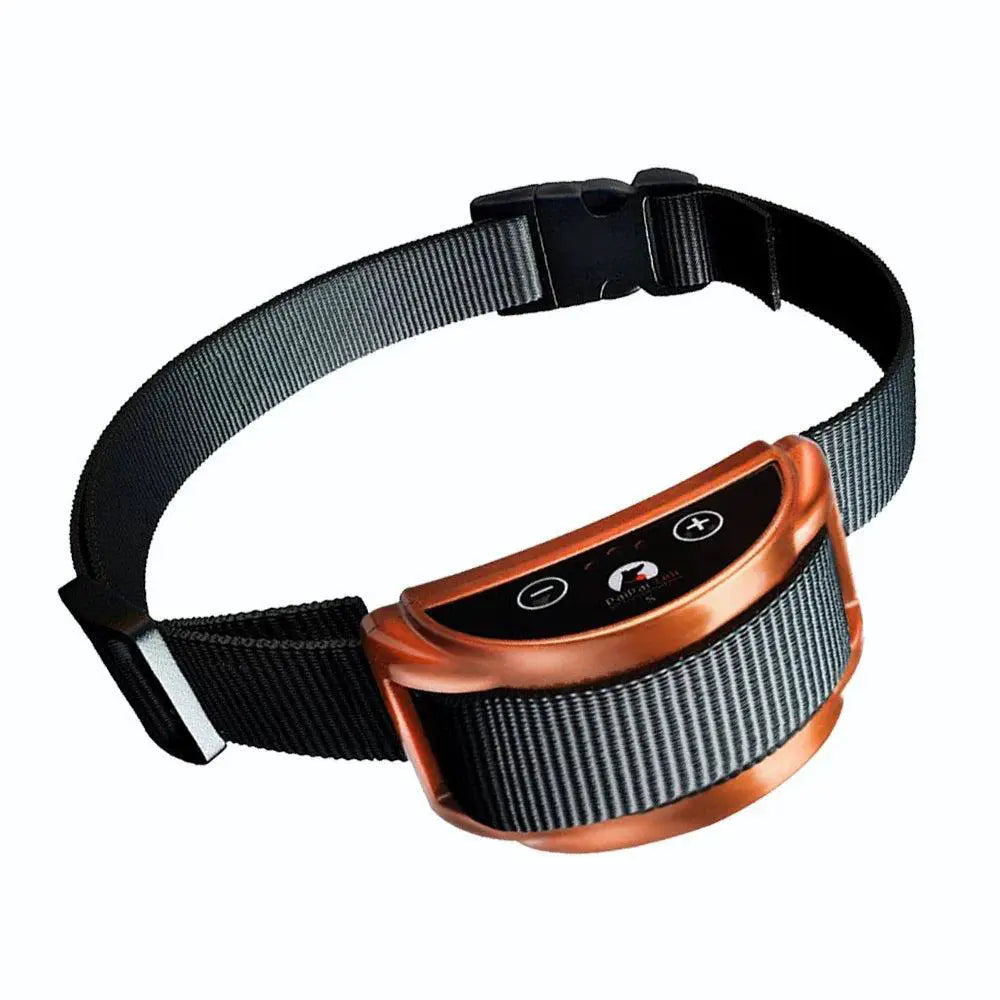 Dog Bark Collar - Humane Training — Silver collar