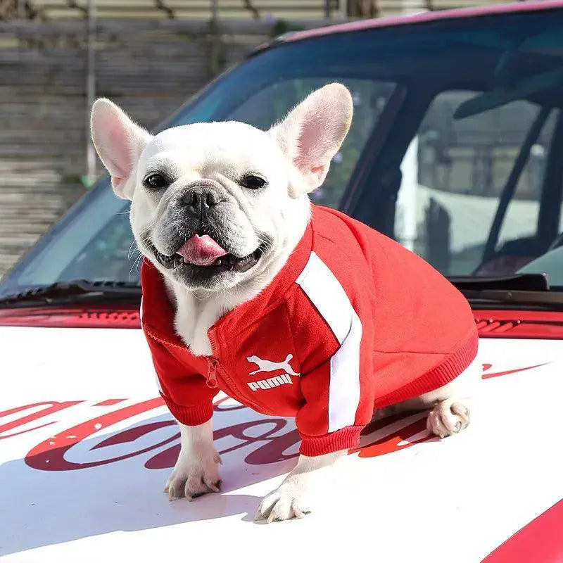 Winter Pet Baseball Jacket For Small To Medium Dogs