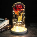 Enchanted Galaxy Rose Glass Dome Eternal Love Gift Set Deluxe