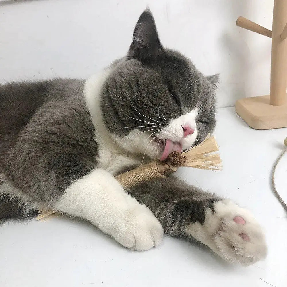 Natural Catnip Silvervine Dental Snack Sticks Cat Toy