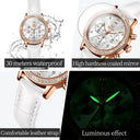 Luxury Luminous Womens Leather Watch
