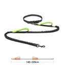 High Quality Hands-Free Dog Leash with Dual Bungee for Large Dogs