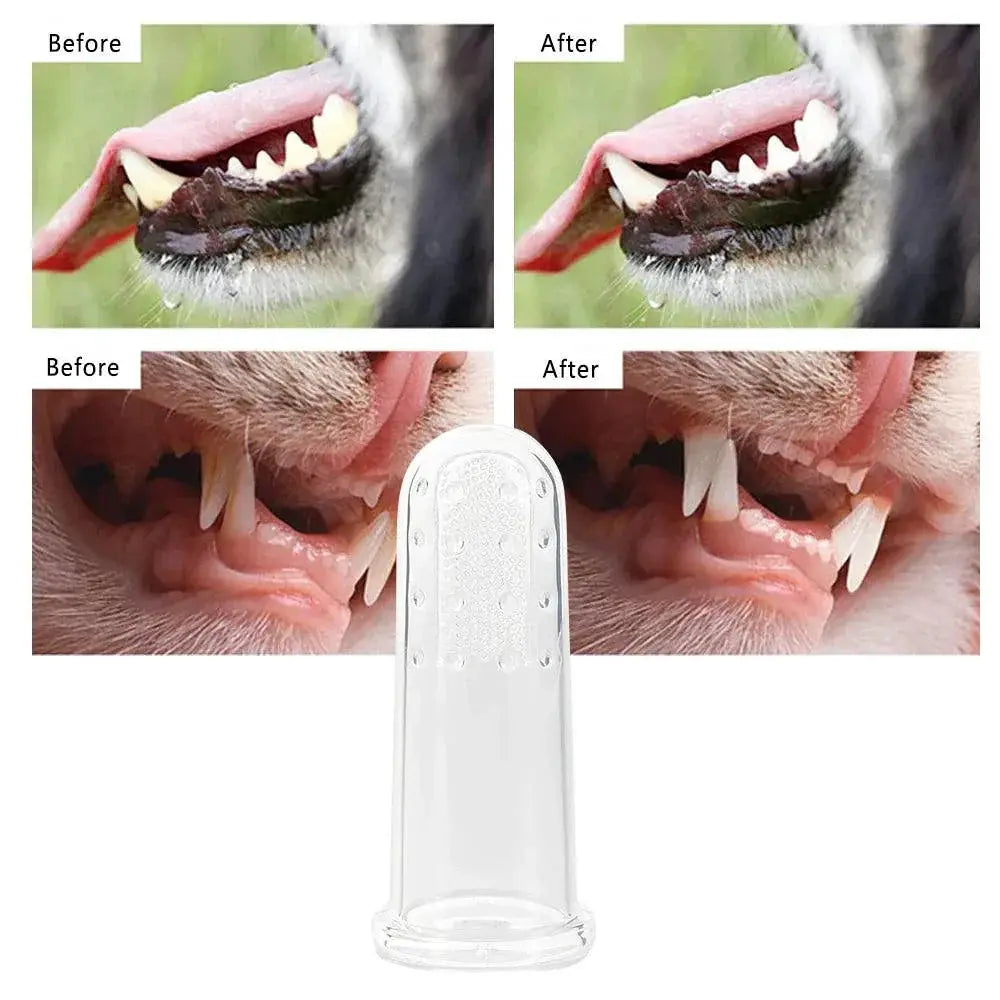 Pet Dental Care Kit Soft Toothbrushes And Finger Brush