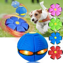 Flying Disc Dog Toy for Active Training