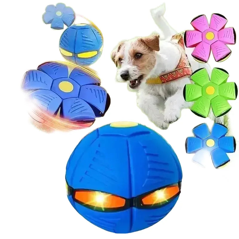 Flying Disc Dog Toy for Active Training — product view 1