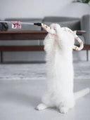 Feather Cat Teaser Wand: Interactive Caterpillar Toy for Cats