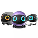 Pet Robot for Family Connectivity