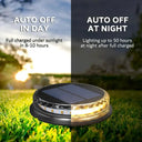 Bright Solar Pathway Light for Gardens