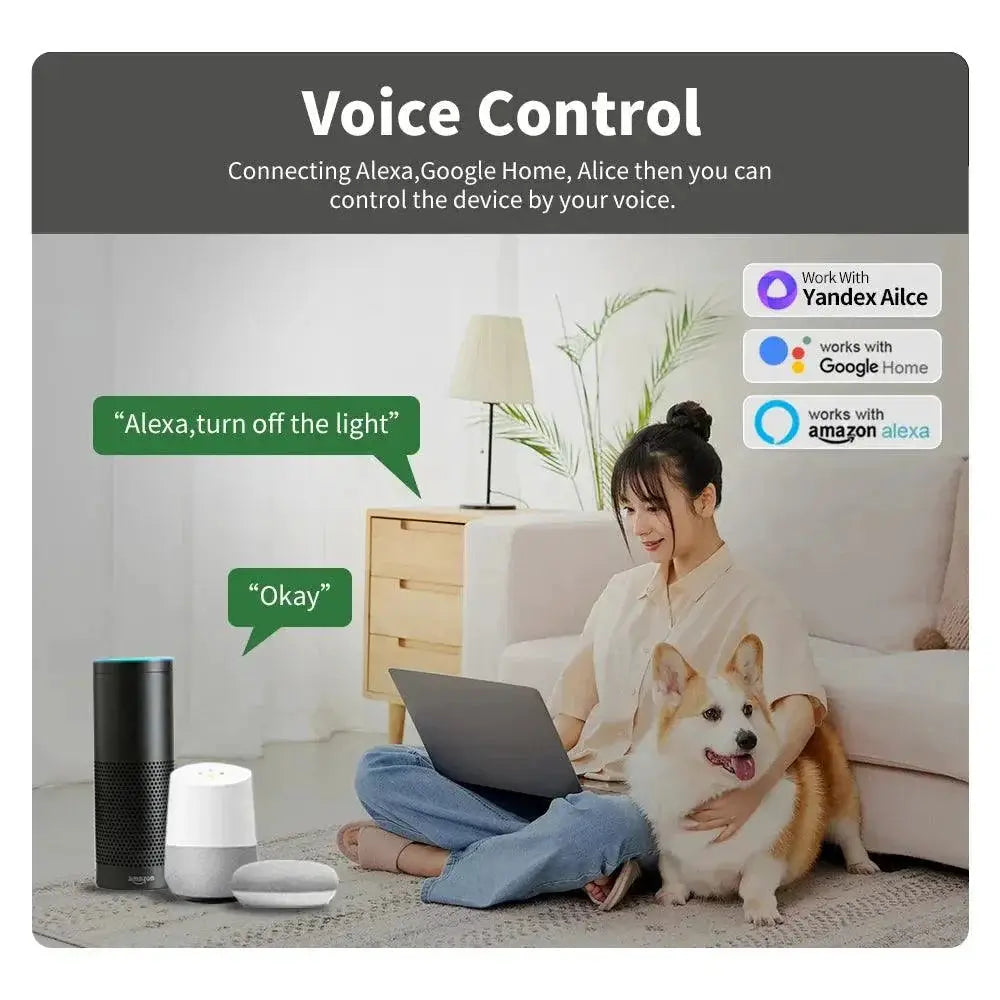 Mini WiFi Smart Switch Module For Alexa Google Voice Control