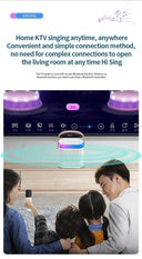 Y1 Wireless Dual Microphones Karaoke Machine KTV DSP