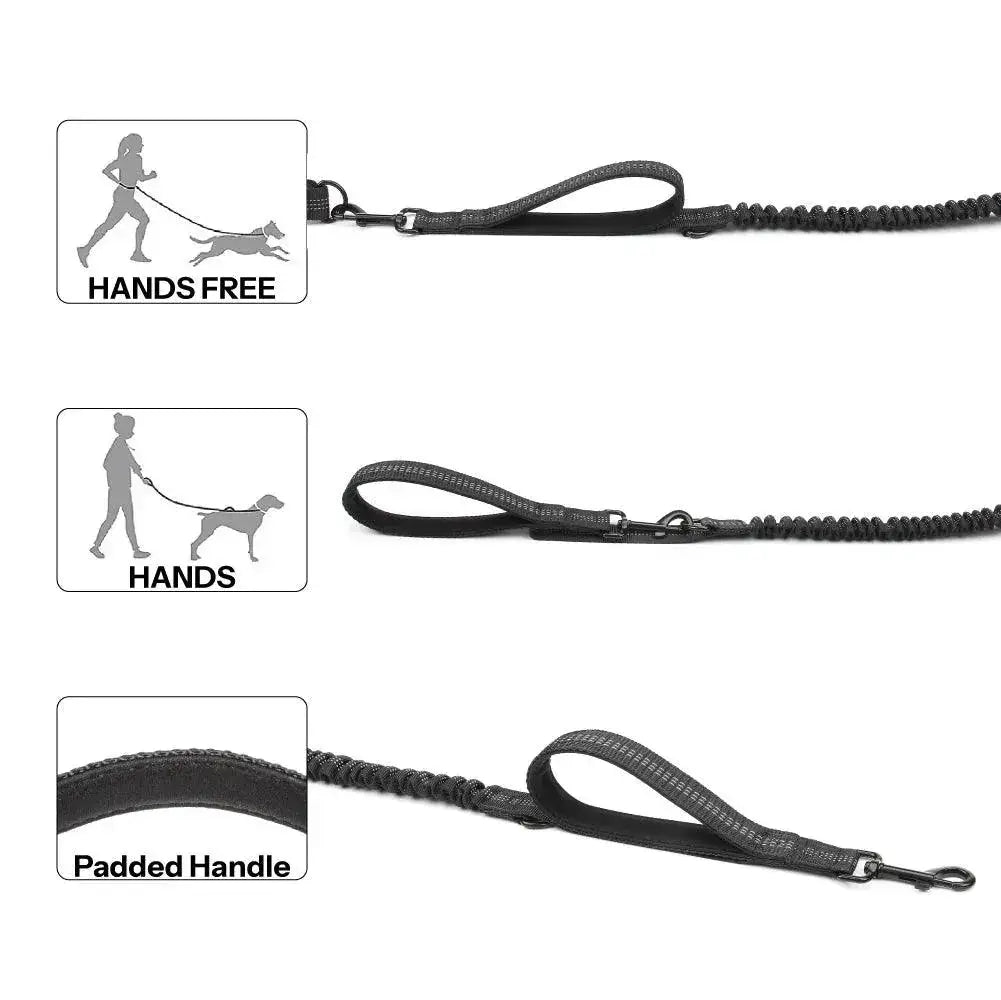 Hands Free Dog Leash With Dual Bungee For Large Dogs Outdoor