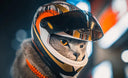 Pet Motorcycle Helmet: Stylish Safety Gear for Pets
