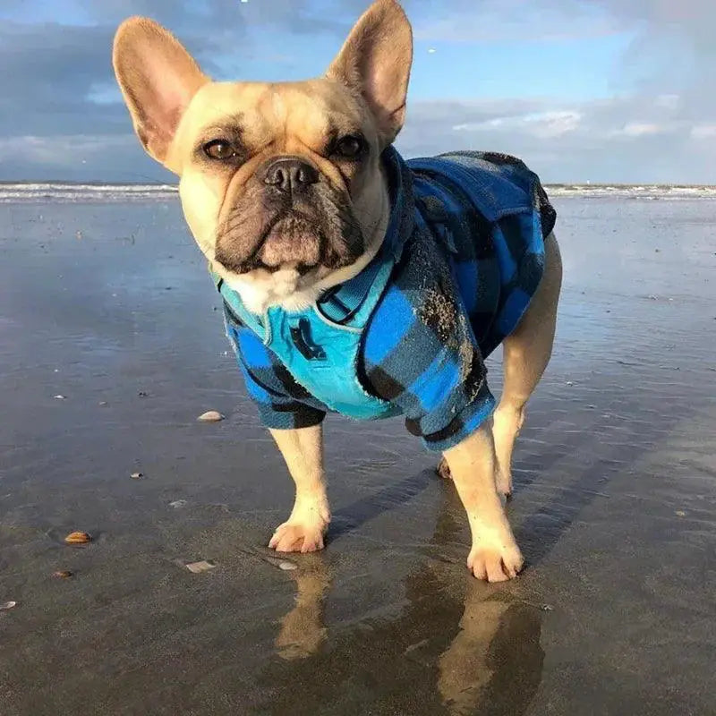 Winter Wool Pet Hoodie For Chihuahuas And Pugs Warmth