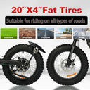 Xtion Adult Electric Mountain Bike