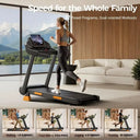 Home Incline Treadmill 16 Percent 12 Programs Bluetooth 400 Lbs