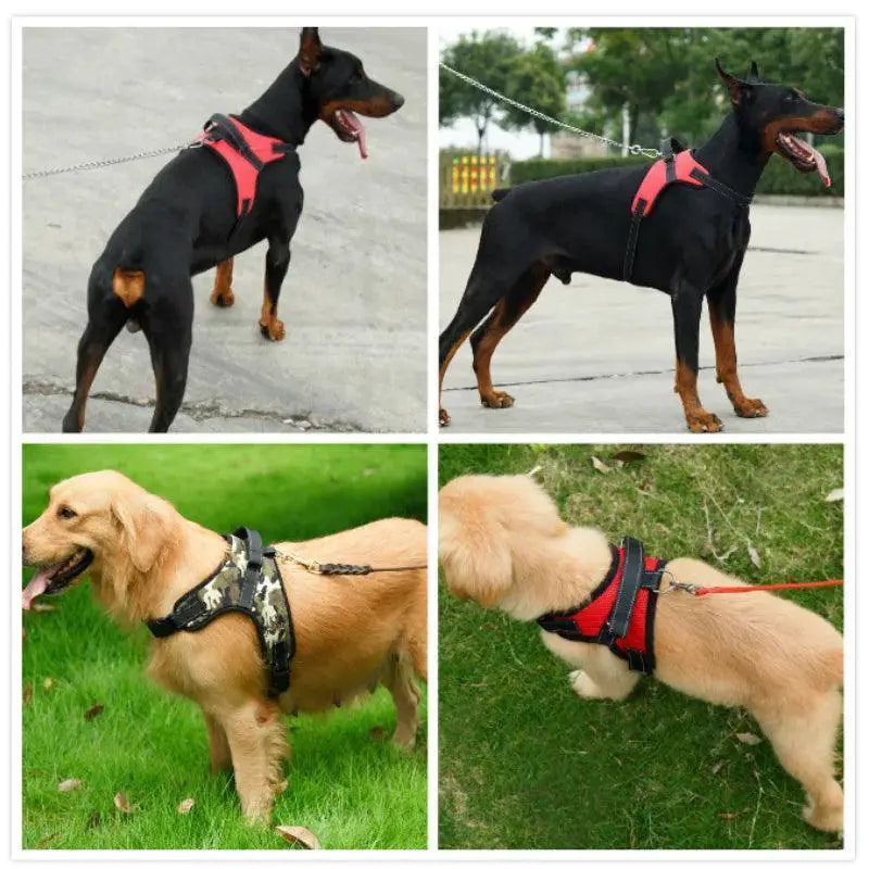 Nylon Dog Harness Heavy Duty Padded Adjustable for Huskies