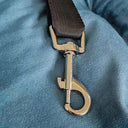 Dog Cat Car Seat Cover for Small Medium Dogs Comfort