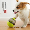 Mental Boost Smart Treat Ball for Dogs
