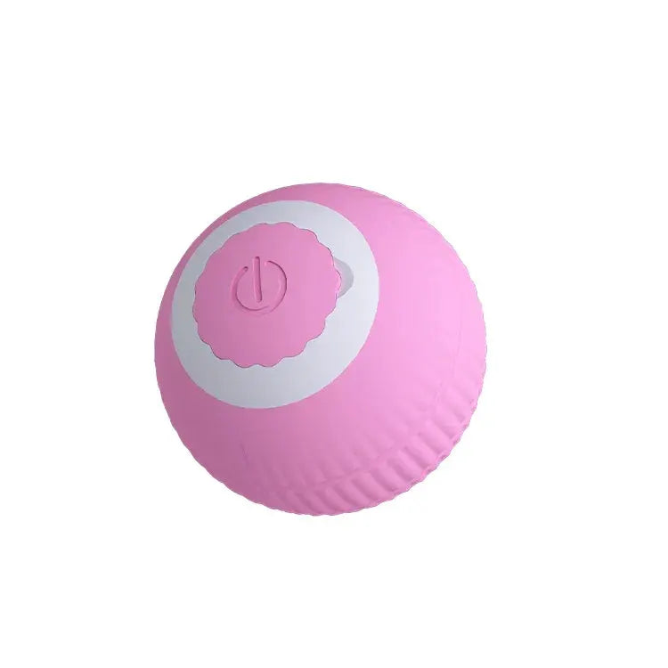 Interactive Cat Toy Ball Fast Rolling Pouch Kitten Toy