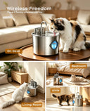 Cordless Pet Water Fountain With Motion Sensor