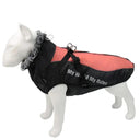 Winter Dog Coat with Harness & Furry Collar for Big Breeds
