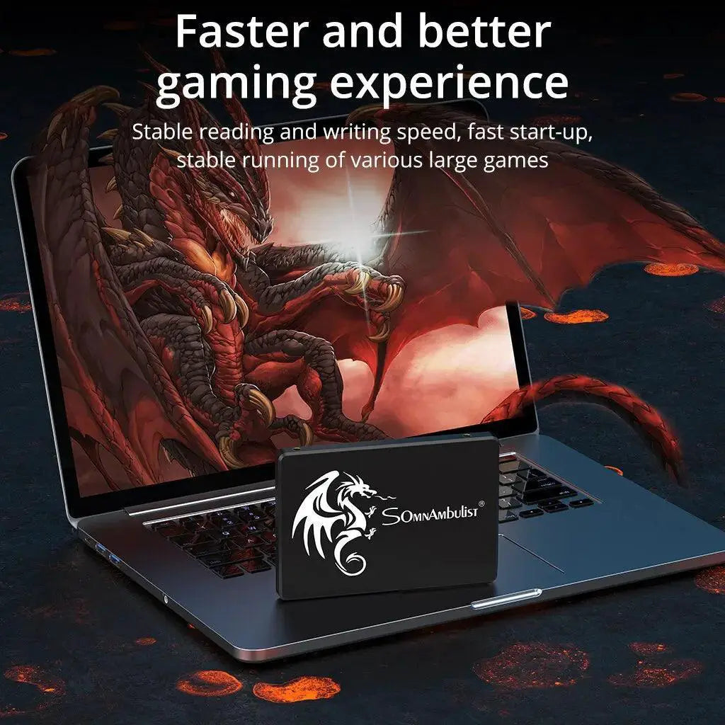 SomnAmbulist High Speed RGB SSD for PC Laptop Internal Drive
