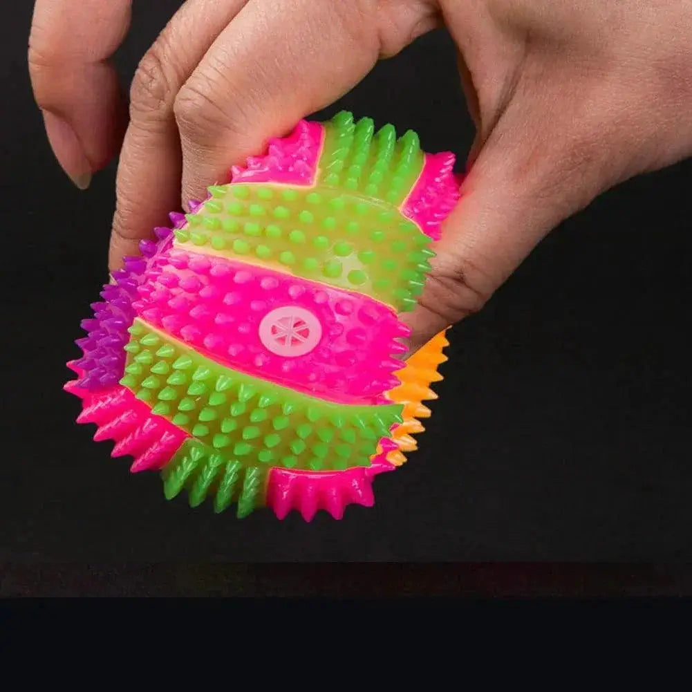 Light Up Dog Ball Interactive Glow in the Dark Toy