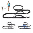 High Quality Hands-Free Dog Leash with Dual Bungee for Large Dogs