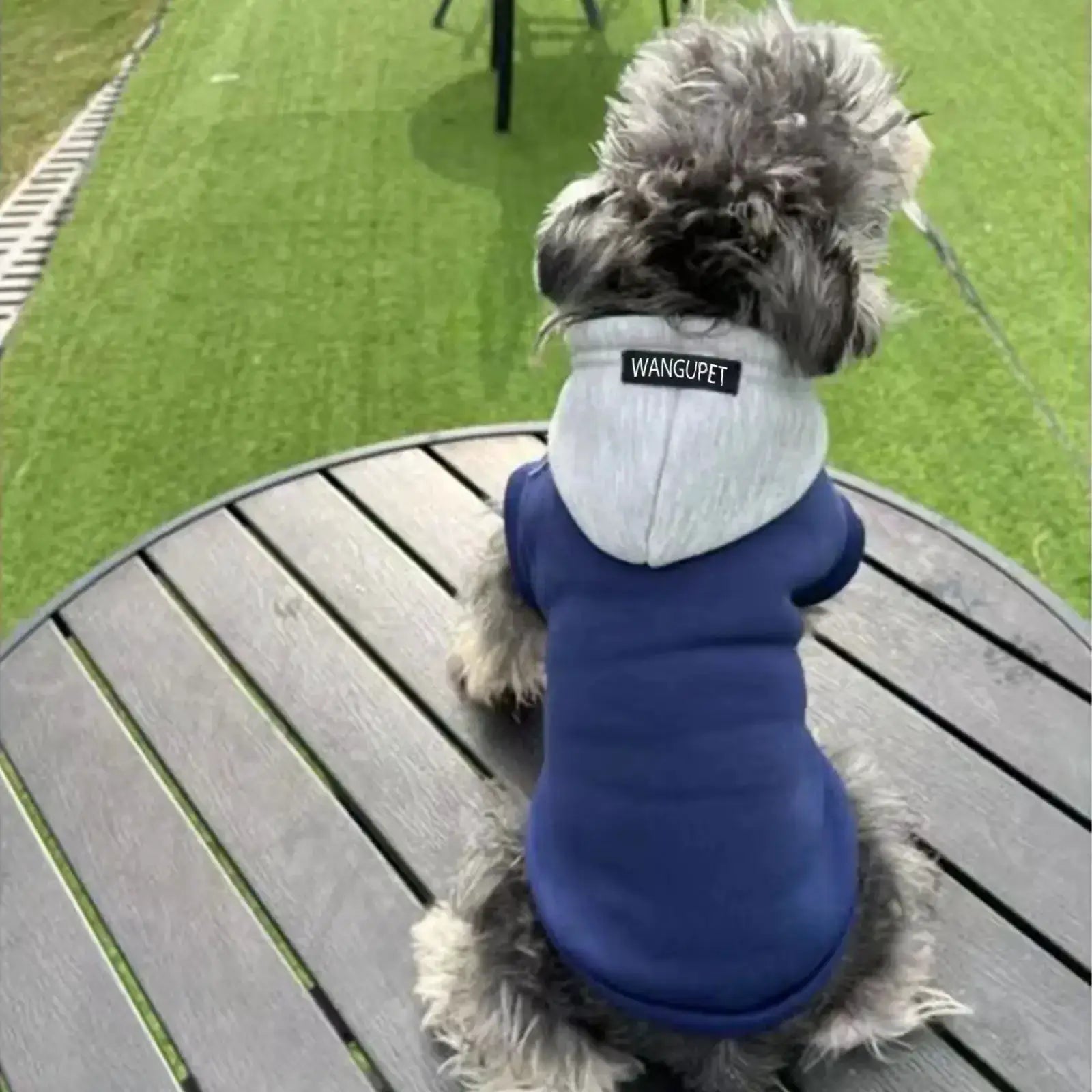 Fashion Dog Hoodie Winter Warm Coat for Pets Sweatshirt