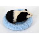 Natural Coconut Small Pet Cage And Wooden Hamster House