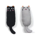 Rustle Sound Catnip Cat Toy for Happy Interactive Play