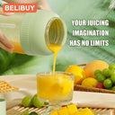 Portable Usb Electric Juicer Cup