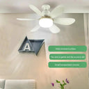 Whisper-Quiet Ceiling Fanlight for Home