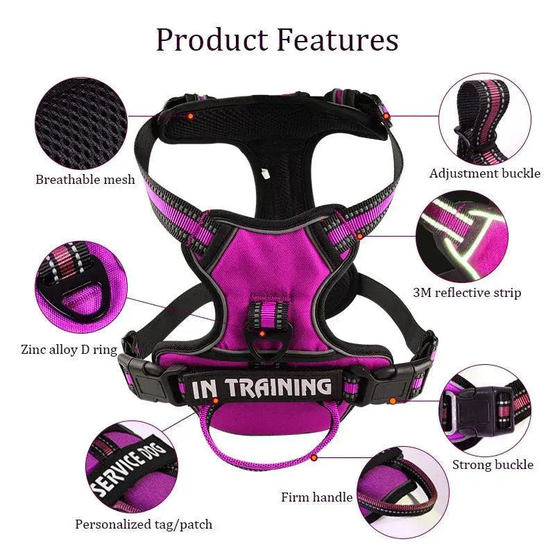 Reflective Nylon Dog Harness Vest With Personalized Leash
