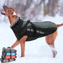 Winter Dog Coat with Harness & Furry Collar for Big Breeds