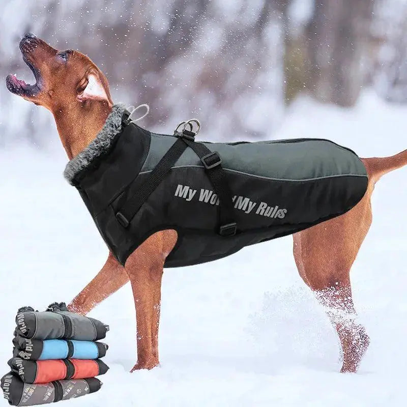 Winter Dog Coat With Harness And Furry Collar For Big Breeds