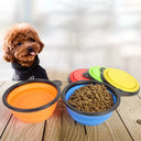 Hydration On The Go Dog Bowl Outdoors