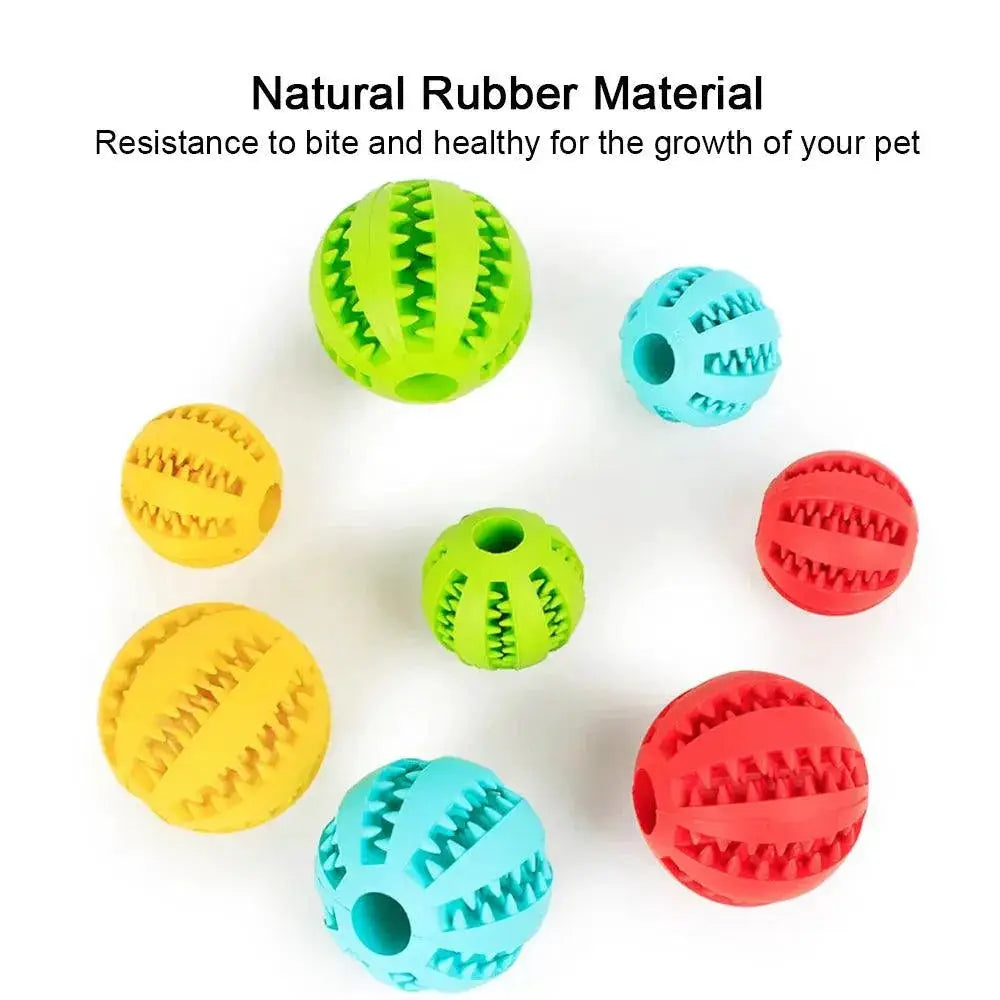 Interactive Rubber Dog Toy For Dental Health And IQ Training