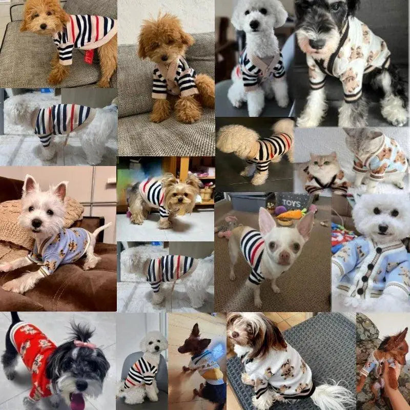 Chic Striped Winter Pet Sweater For Cozy Dogs And Cats