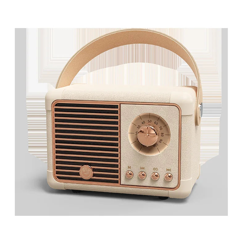 Bluetooth FM Radio Audio Speaker