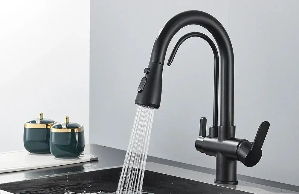 Filtered Water Kitchen Faucet - Homes — product view 17