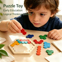 Wooden Hexagon Puzzle Toy Early