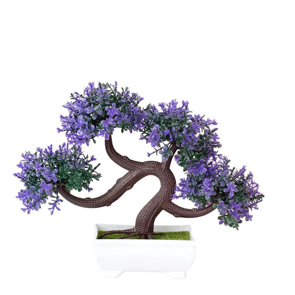 Low Maintenance Bonsai Desk Plant Decor — B4