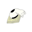 Cat Reading Enamel Pin for Book Lovers