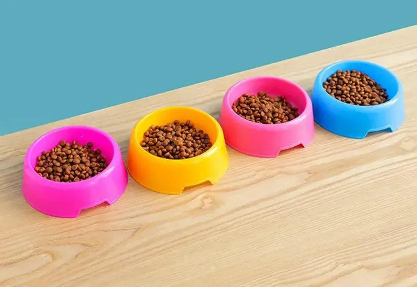 Colorful Travel Pet Bowl for Dogs and Cats Eco Friendly