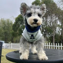 Fashion Dog Hoodie Winter Warm Cat Dog Clothes Soft Sweatshirt