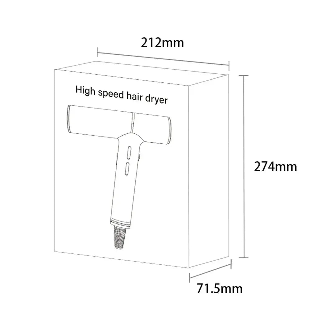 Brushless Motor Hair Dryer 110000rpm Negative Ion Pro Edition