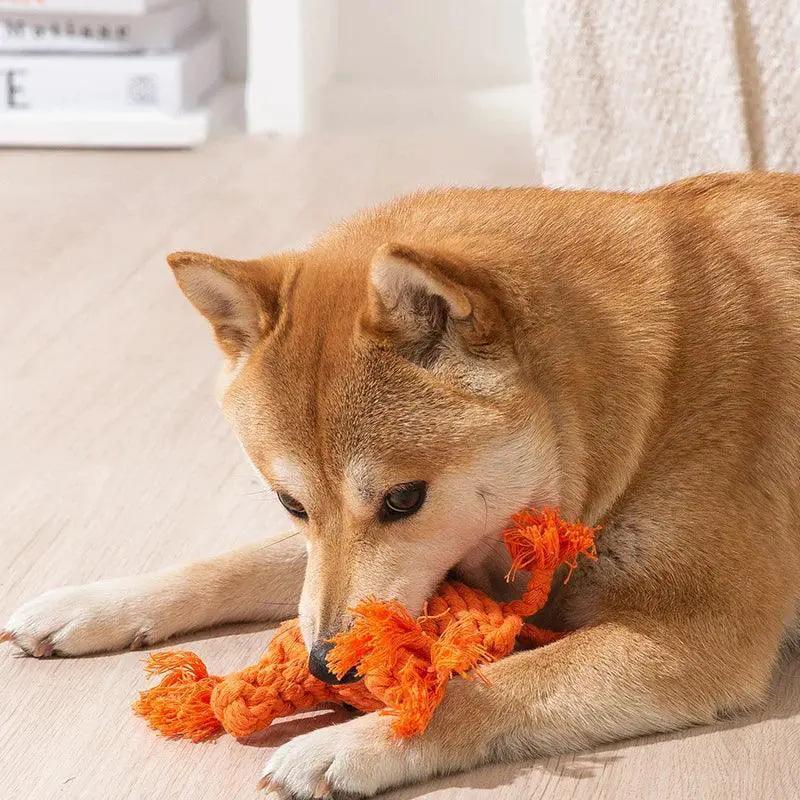Cotton Rope Carrot Shape Dog Chew Toy For Teeth Cleaning