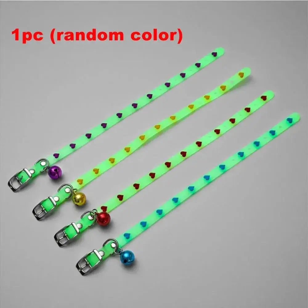 Glowing Cat Collar for Nighttime Safety — product view